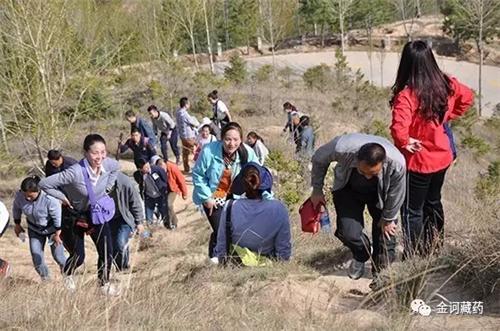 金诃藏药组织员工开展爬山比赛